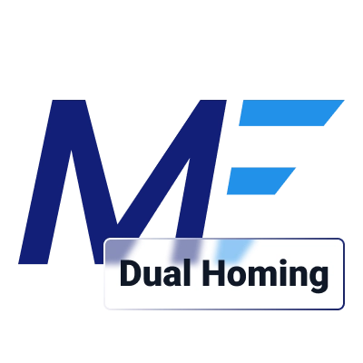 Metro Ethernet Dual Homing