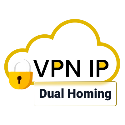 VPN IP Dual Homing