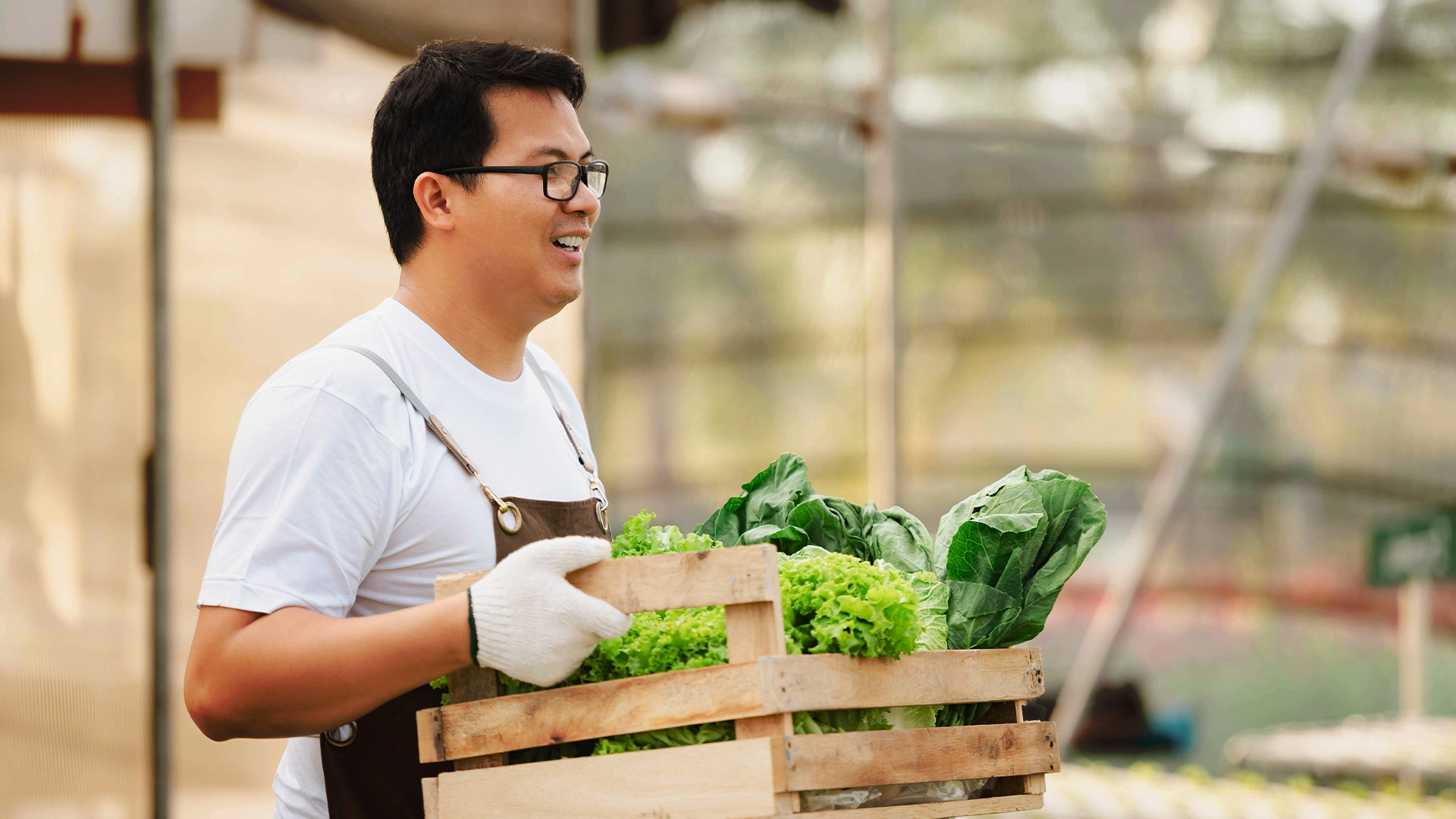 Pengusaha Muda Jualan Sayur Sampai Ratusan Juta, Cek Kisahnya di Sini!